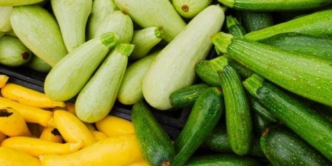 Kako zalijevati tikvice na otvorenom